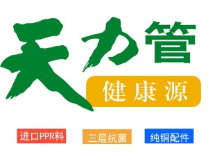 公司介绍